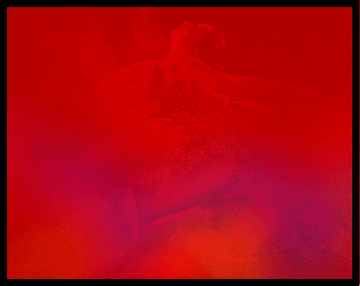 Gala de Natal
Fundação EDP