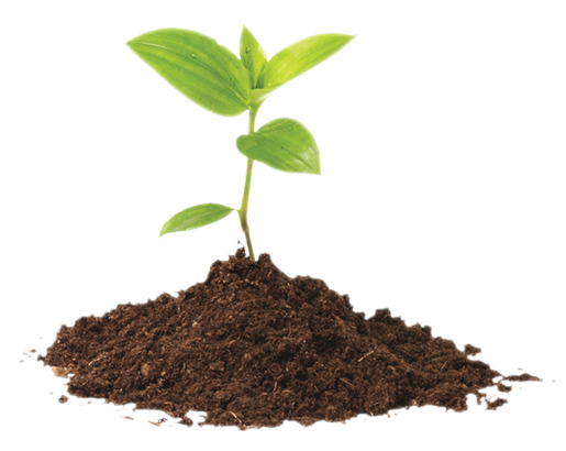 Plásticos
que nascem
da Terra