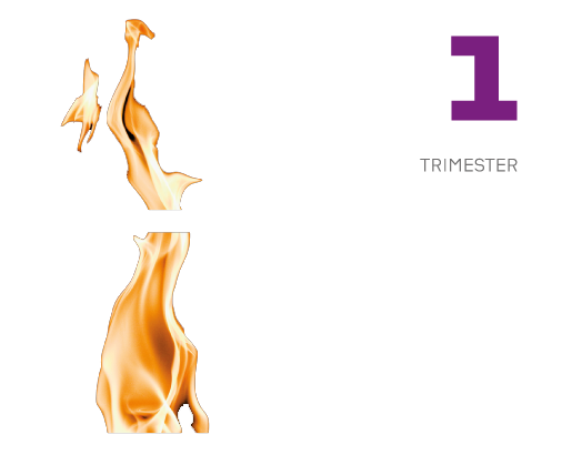 A FORÇA
DE ACREDITAR