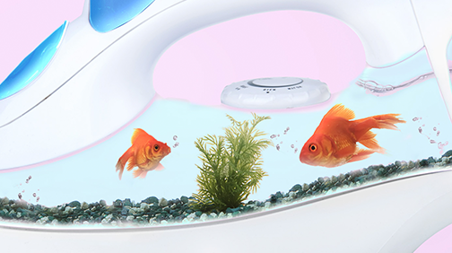 Campanha Pack 20 pecas - 5ÀSEC